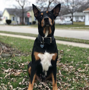 Meet your Posher, Rachelle